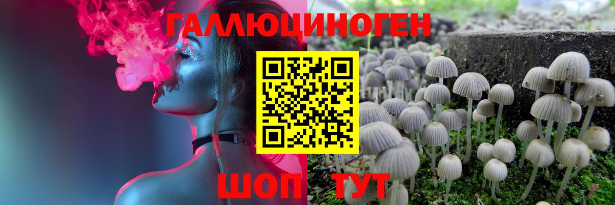 Псилоцибиновые грибы Cubensis  Псилоцибиновые грибы Magic Shrooms  Тайшет  Вход с VPN 